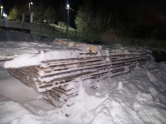 За контрабанду лесоматериалов в Финляндию житель Карелии получил условный срок