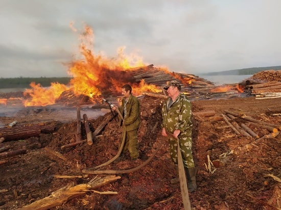 Причиной пожара на складе древесины в Братском районе может быть поджог