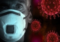 В Бердске Новосибирской области в 2021 году скончались 42 человек от коронавируса