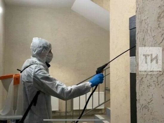 В Мамадыше возобновили санобработку подъездов домов