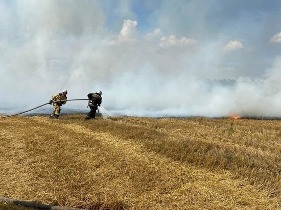 Детская шалость с огнем стала причиной двух пожаров в Курской области
