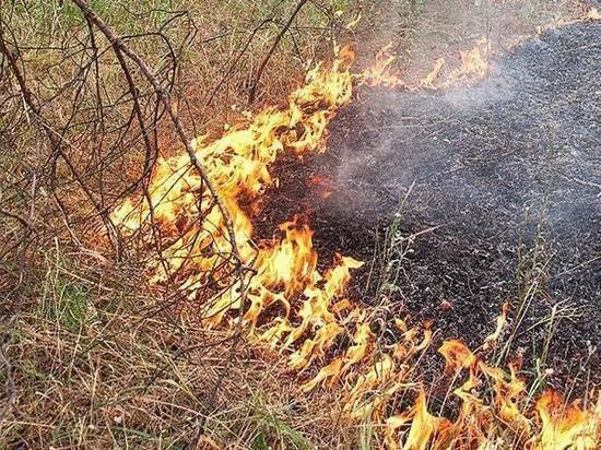 В Ростовской области объявили штормовое предупреждение из-за сильной жары