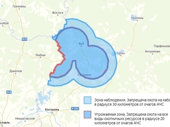 В Костромской области введен запрет на охоту в карантинных зонах