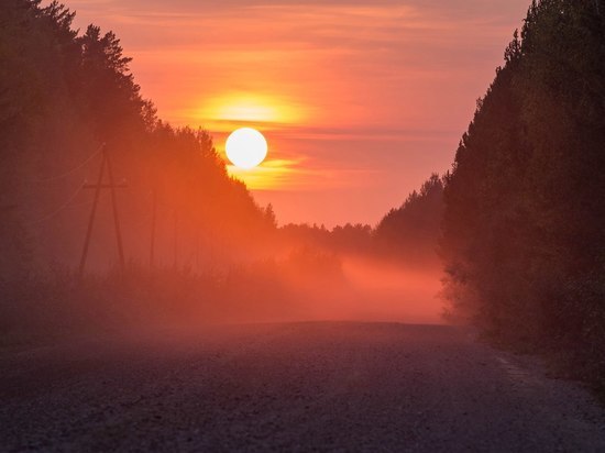 В последний день июля брянец ожидает туман и до +32ºC жары
