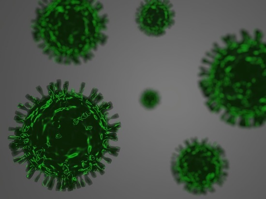За три месяца в Белгородской области обнаружили 35 случаев мутировавших штаммов коронавируса