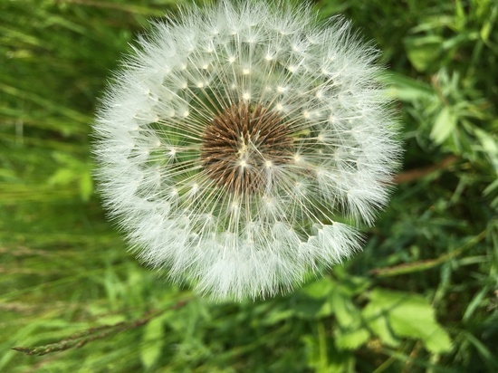 Последняя суббота июля в Смоленске начнется с ясности, а завершится дождем