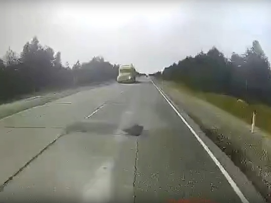 Момент гибели водителя автобуса от монтировки в ЯНАО попал на видео