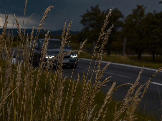 Через гуманитарный коридор в ДНР въехали более 400 человек