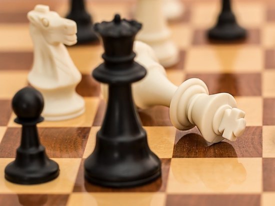 В Белгороде стартовал областной турнир по шахматам