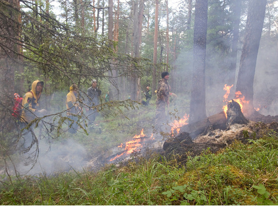 В Якутии за прошедшие сутки ликвидировали 3 лесных пожара