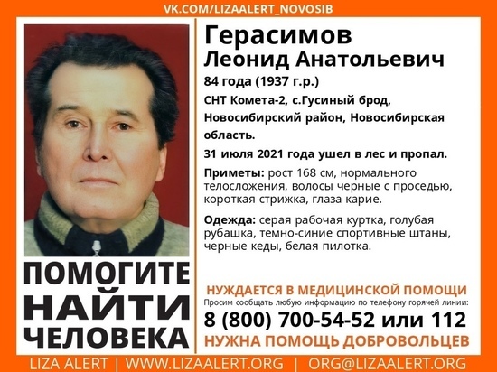 В Новосибирской области объявили поиски 84-летнего мужчины, который нуждается в медицинской помощи