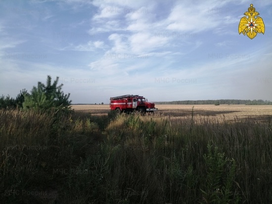 На Брянщине 12 огнеборцев потушили лесной пожар
