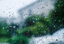 Как ранее писал «МК в Волгограде», в воскресенье в регионе ожидается переменная облачность, в областном центре дождя не предвидится