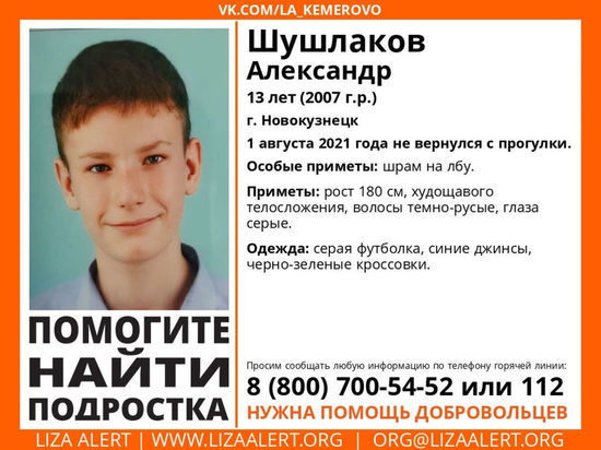 Мальчик со шрамом на лбу пропал без вести в Кузбассе