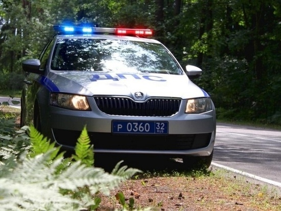 В райцентре на Брянщине за ночь попались двое пьяных водителей