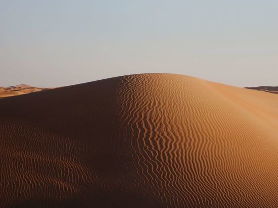 Учёные Астрахани и ФНЦ агроэкологии РАН решают, как остановить опустынивание