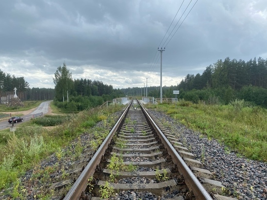 Пьяный мужчина попал под скоростной поезд в Тверской области и погиб