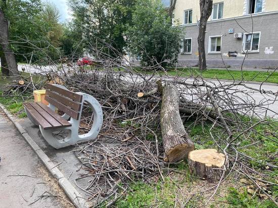 Жители Екатеринбурга недовольны спилом деревьев в аллее на Кировградской