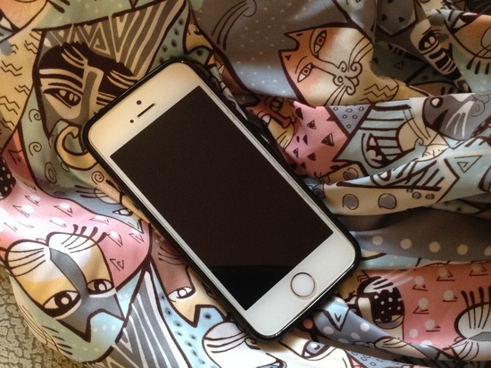 В Смоленске полицейские отыскали похищенный на кассе в магазине телефон