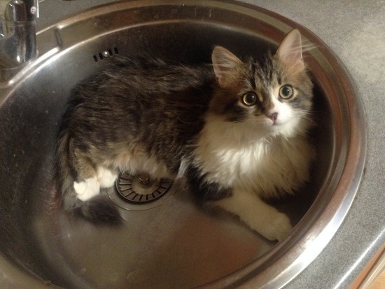 Во вторник воду отключат в Смоленске на улице Большая Краснофлотская