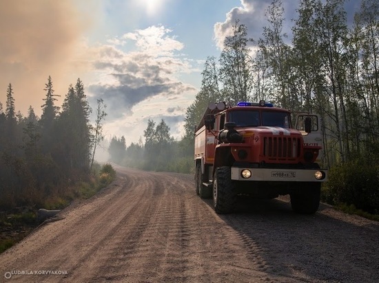 Площадь лесных пожаров в Карелии удаётся сдерживать