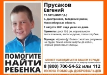 В Татарском районе области 1 августа пропал 11-летний Евгений Прусаков
