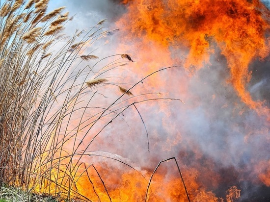 В Волгоградской области выявили 300 нарушений противопожарных правил