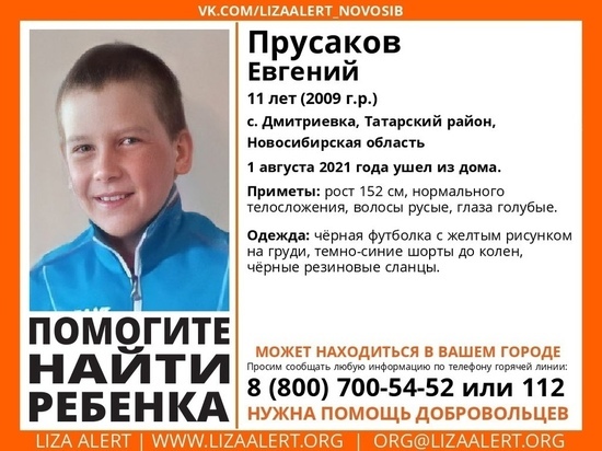 В Новосибирской области 11-летний мальчик ушел из дома и пропал