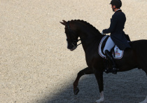 В личном троеборье в конном спорте в рамках летних Олимпийских игр в Токио золотую медаль выиграла немка Юлия Краевски на лошади Amande de B'Neville