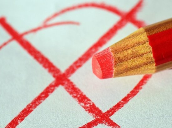 Как жителям ДНР проголосовать на выборах в Госдуму