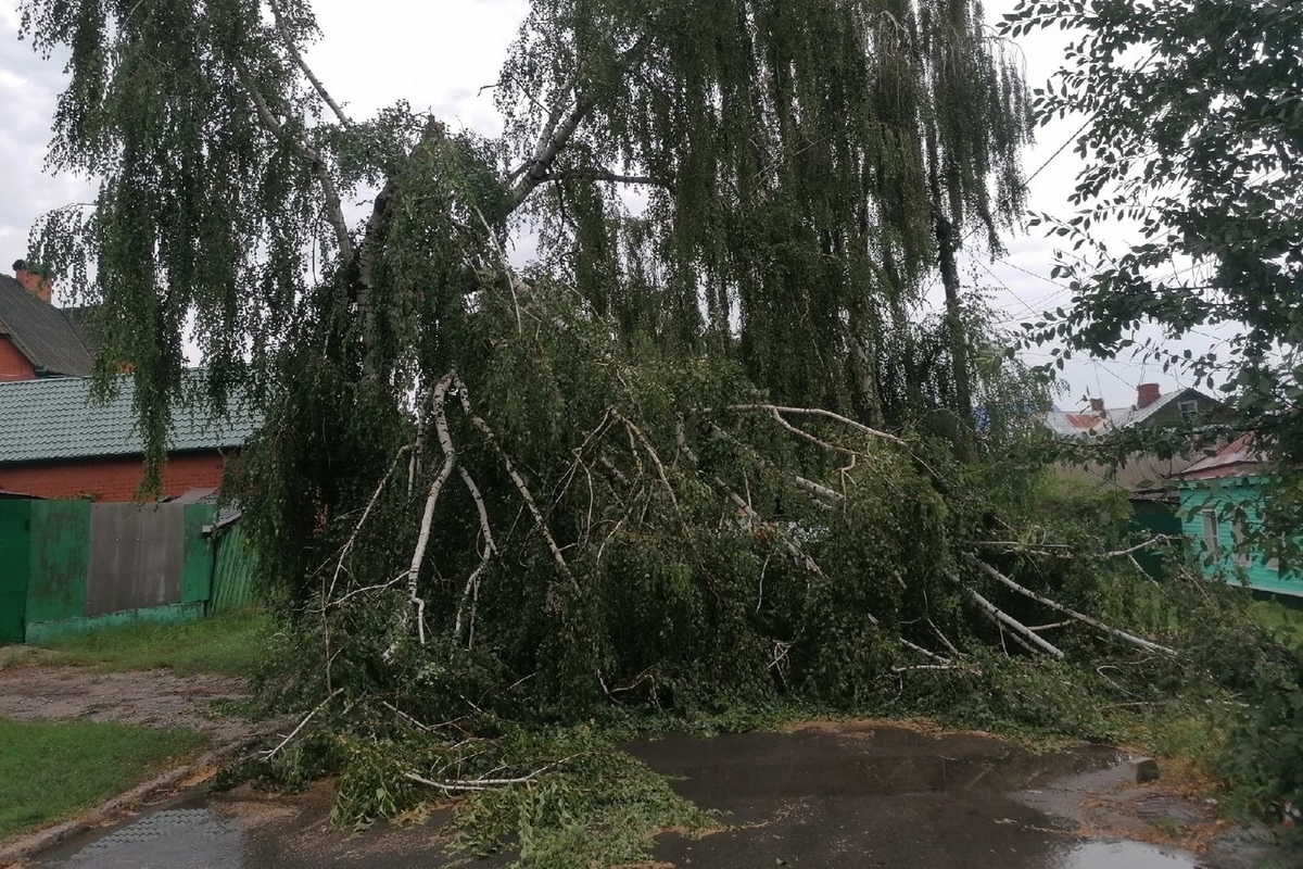 Последствия урагана в Курске