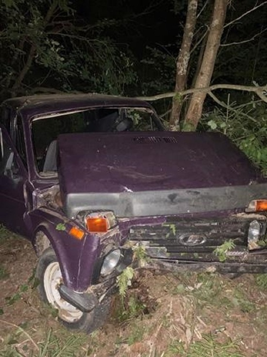 Водитель и два пассажира пострадали в ночном ДТП в Опочке