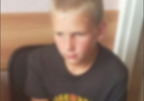 Пропавшего в селе Дмитриевка Татарского района Новосибирской области 11-летнего Евгения Прусакова нашли живым