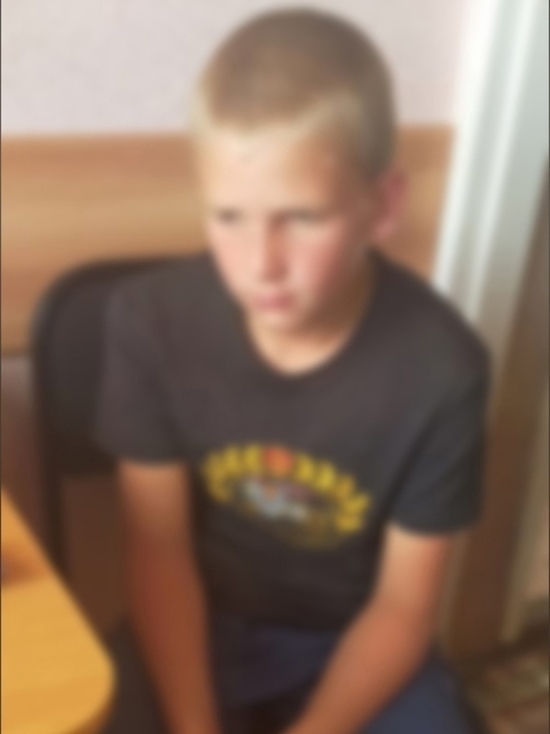 В Новосибирской области нашли 11-летнего потерявшегося мальчика