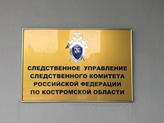 Следственный комитет отчитался о раскрытии «новогоднего убийства» в Костроме