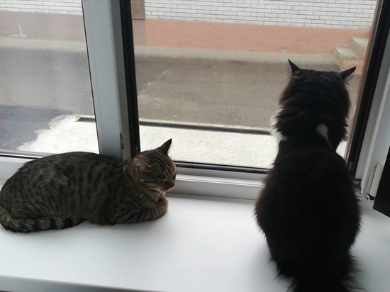 На Ставрополье после жары ожидаются дожди и прохлада