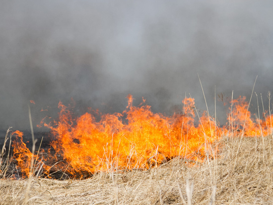 В Омской области напряженная остановка с ландшафтными пожарами остается в двух районах