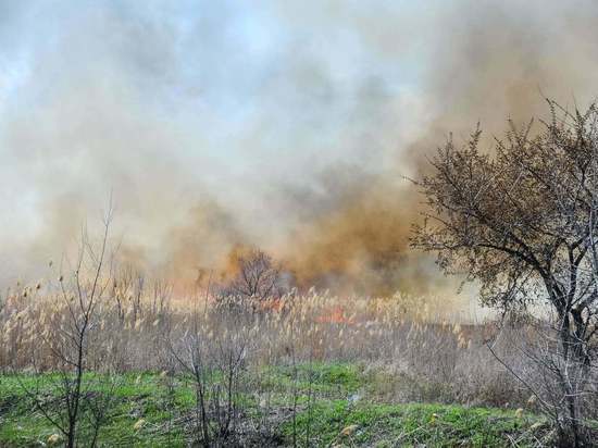 Астраханское МЧС предупредило о чрезвычайной пожароопасности в регионе