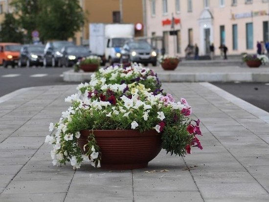 В центре Пскова установили вазоны с цветами
