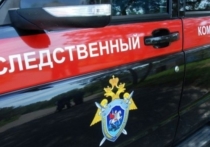 В Новосибирской области СК начал доследственную проверку после ситуации с утонувшей в покрышке девочкой