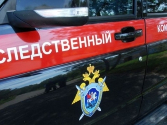 В Следственном комитете рассказали подробности трагедии с утонувшей в покрышке девочкой в Новосибирске