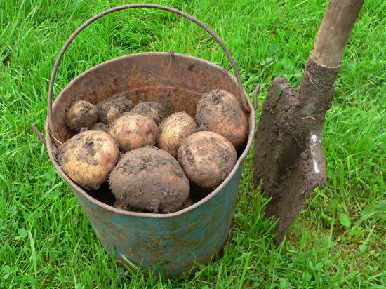 Дождливая погода скоро даст о себе знать