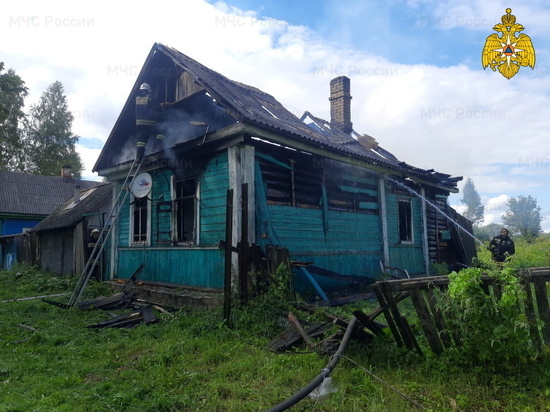 В Велиже загорелся дом, когда хозяйка готовила пищу