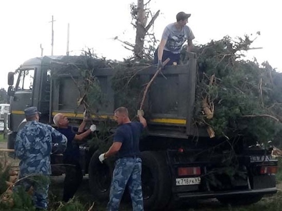 Осужденные и работники исправительной колонии помогают устранять последствия урагана в Андреаполе