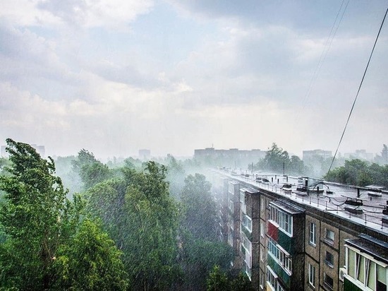 В Курской области 5 августа местами пройдут дожди с грозами