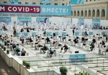 В Минздраве назвали число привитых от коронавируса граждан