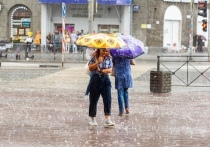 В пятницу, 6 августа, в Новосибирске ожидаются прохлада, дождь и гроза