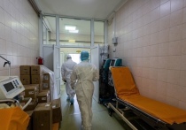 Министерство здравоохранения Новосибирской области закроет пять госпиталей для больных коронавирусом в связи с уменьшением количества госпитализаций