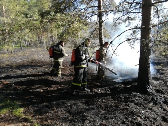 Пожар в Кологривском лесу постепенно отступает