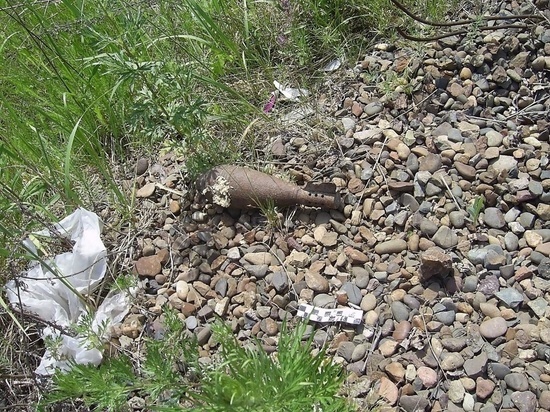 В Смоленской области обезвредили два боеприпаса времен ВОВ